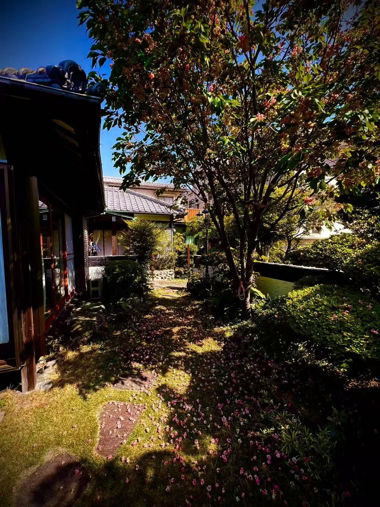 庭園と足湯 3