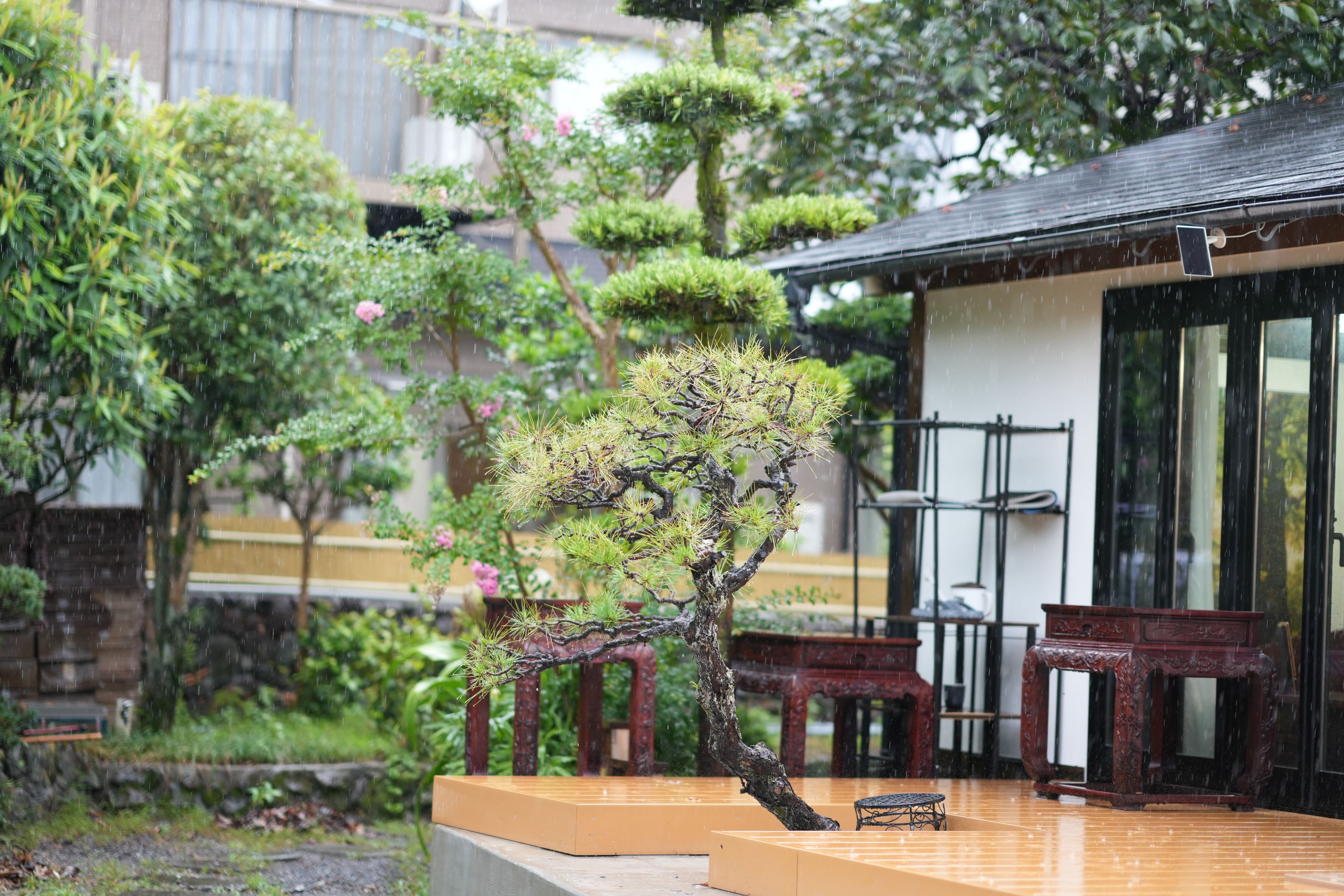 和のくつろぎ 4