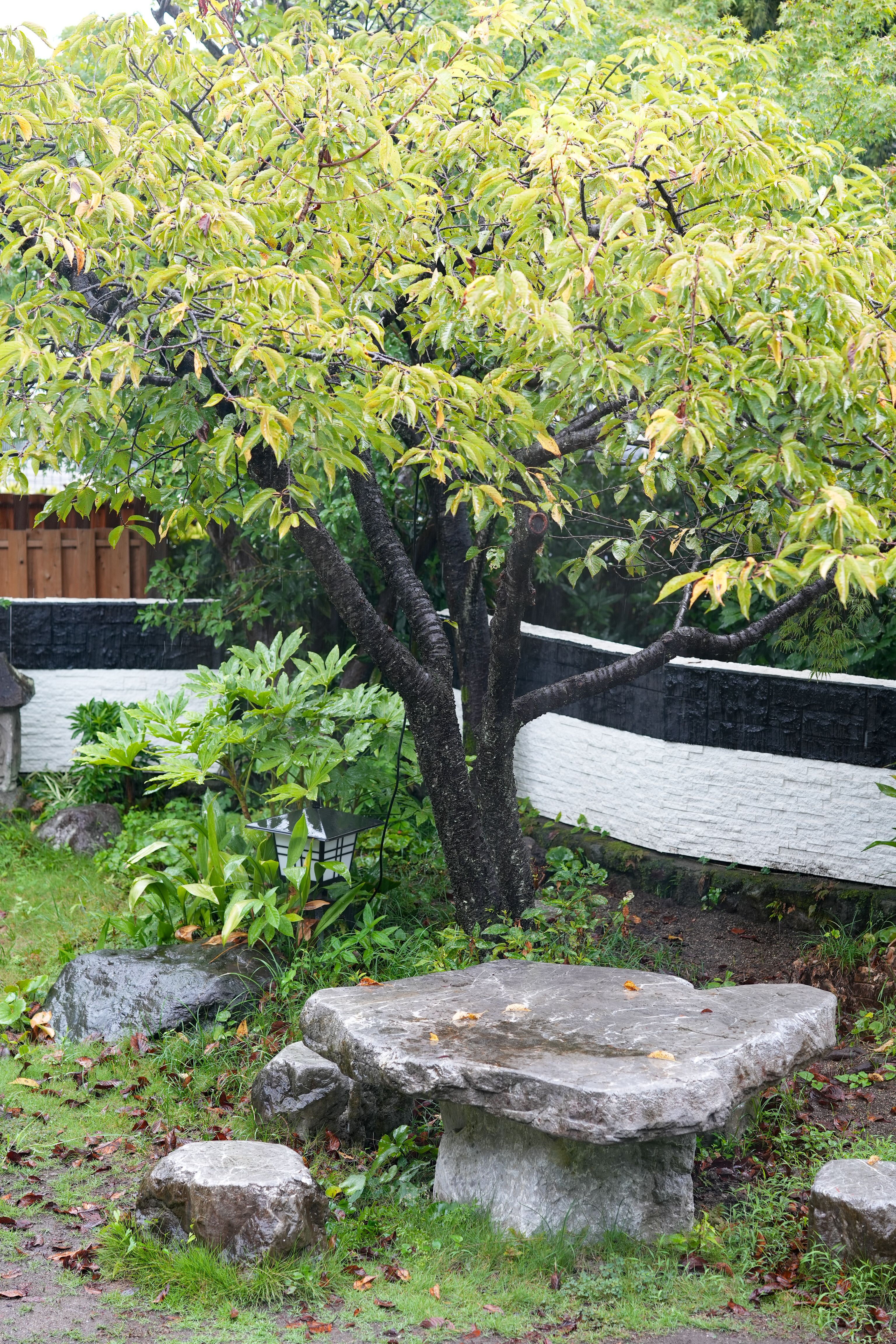 정원과 발목욕 4