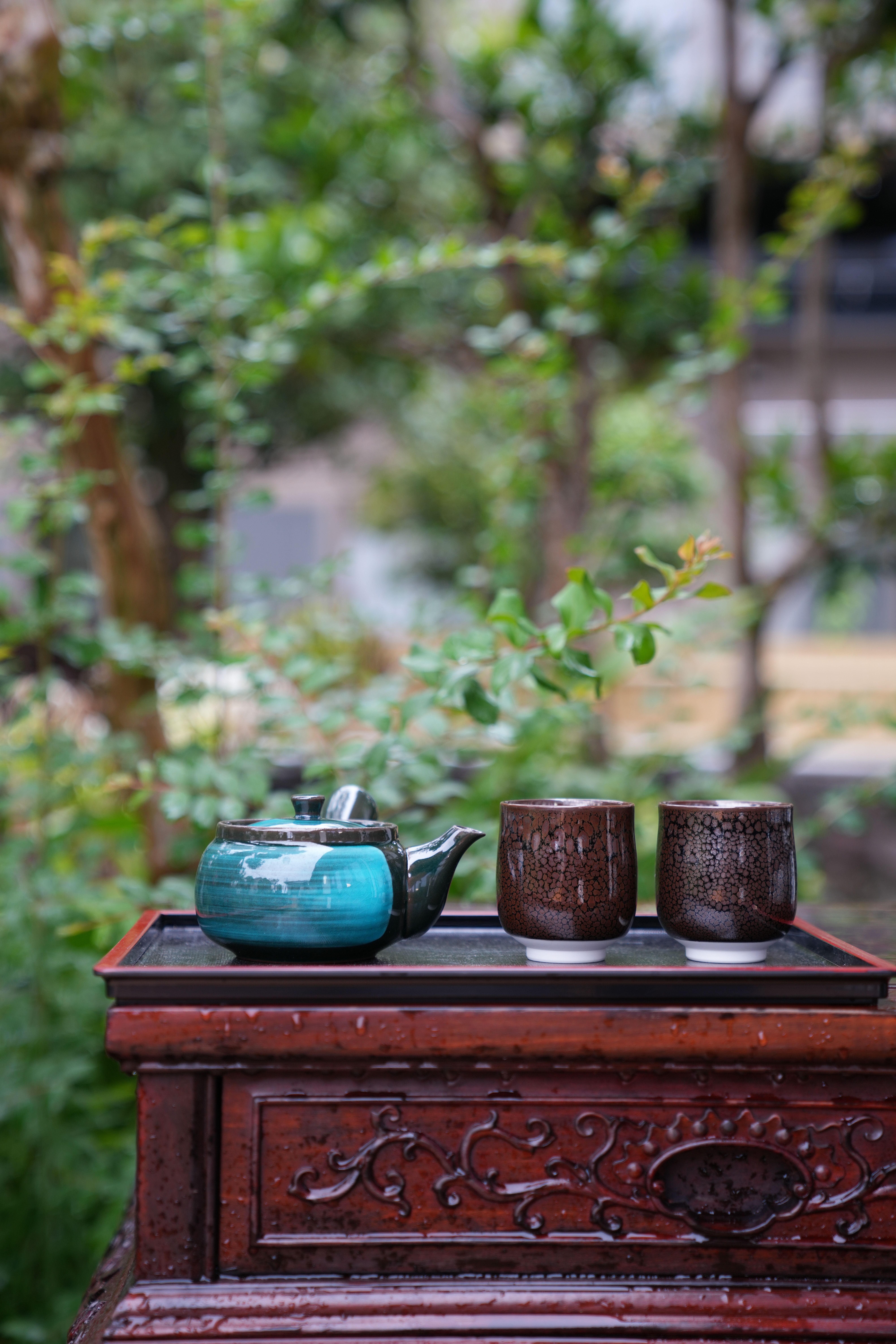 庭園と足湯 5